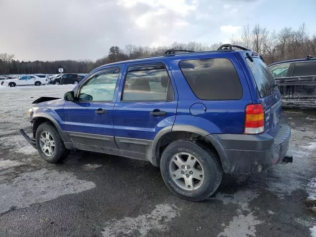 2005 Ford Escape XLT