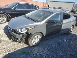 Hyundai salvage cars for sale: 2016 Hyundai Elantra SE