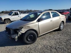 Toyota Corolla salvage cars for sale: 2010 Toyota Corolla Base