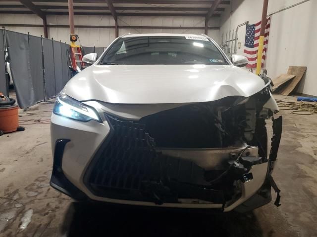 2024 Lexus NX 350 Base