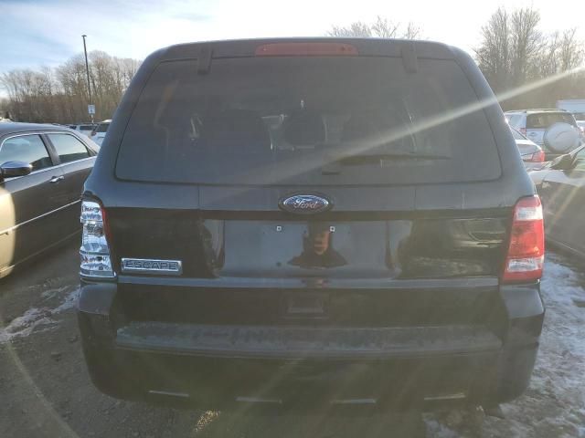 2010 Ford Escape XLS