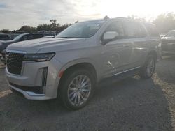 Salvage cars for sale at Riverview, FL auction: 2023 Cadillac Escalade Premium Luxury