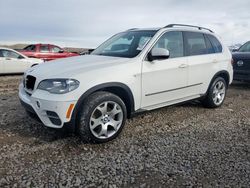 BMW salvage cars for sale: 2013 BMW X5 XDRIVE35I