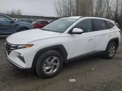 Salvage cars for sale from Copart Arlington, WA: 2024 Hyundai Tucson SEL