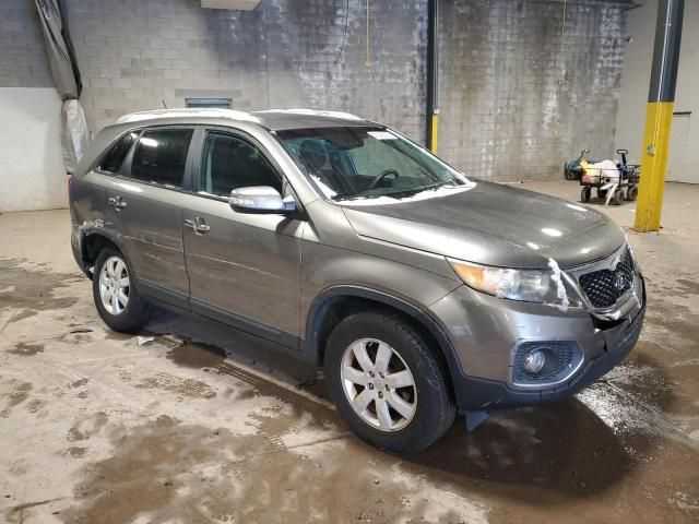 2011 KIA Sorento Base