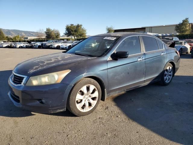 2010 Honda Accord EXL