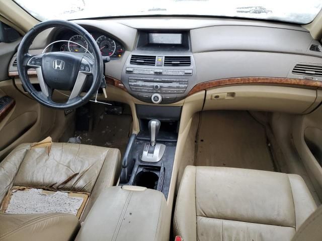 2008 Honda Accord EXL