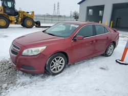 Salvage cars for sale at auction: 2013 Chevrolet Malibu 1LT