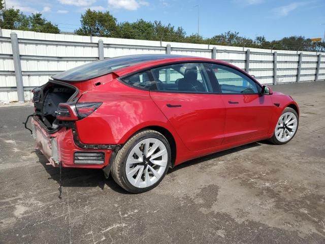 2023 Tesla Model 3