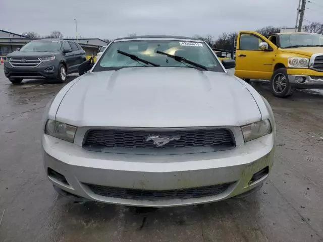 2010 Ford Mustang