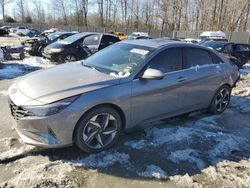 2023 Hyundai Elantra Limited en venta en Waldorf, MD