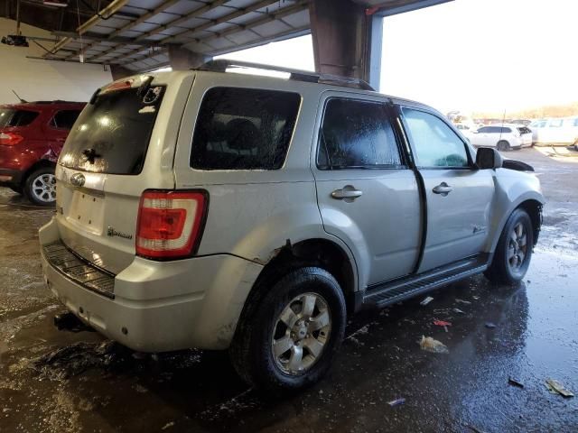 2009 Ford Escape Hybrid