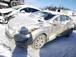 Hyundai salvage cars for sale: 2015 Hyundai Elantra SE