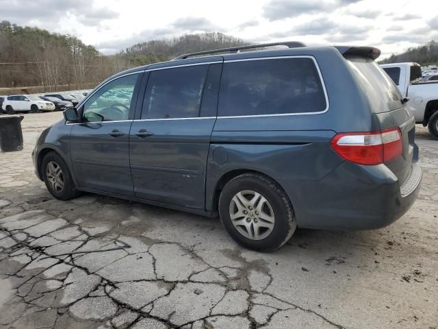 2005 Honda Odyssey EXL