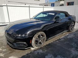 Salvage cars for sale from Copart Opa Locka, FL: 2024 Ford Mustang