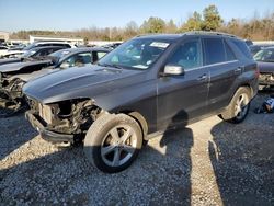 Salvage cars for sale at Memphis, TN auction: 2018 Mercedes-Benz GLE 350