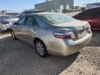 2008 Toyota Camry Hybrid