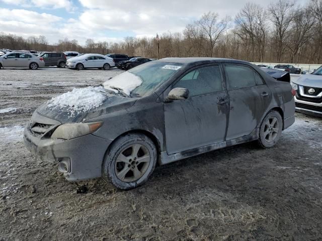 2011 Toyota Corolla Base