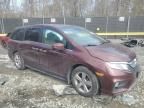 2019 Honda Odyssey EXL