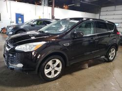 Salvage cars for sale at Blaine, MN auction: 2013 Ford Escape SE