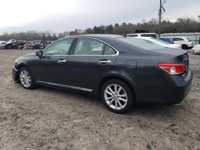 2010 Lexus ES 350