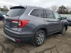 2020 Honda Pilot EXL