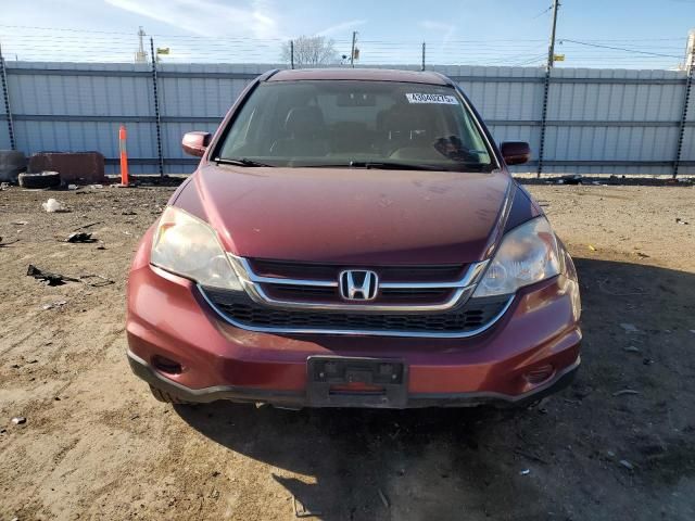 2010 Honda CR-V EXL