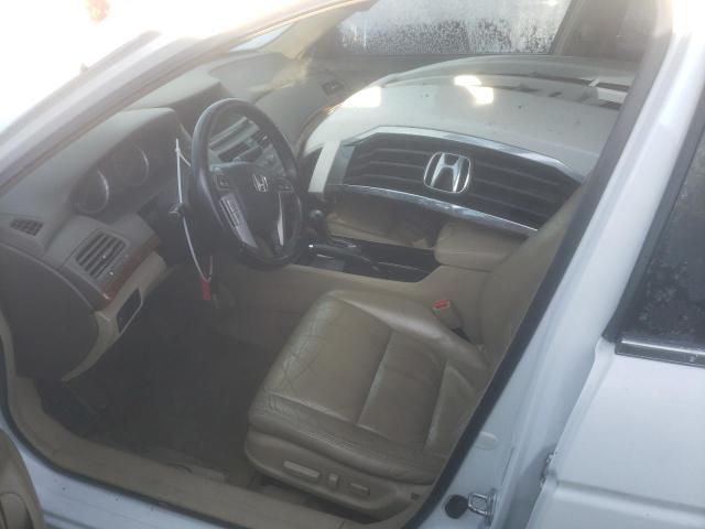 2009 Honda Accord EXL