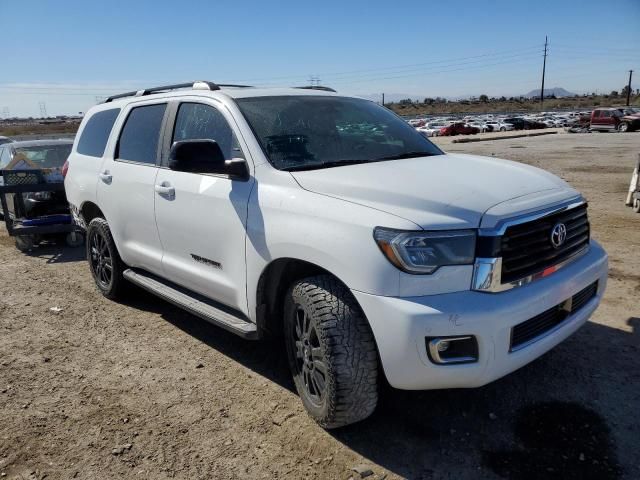 2019 Toyota Sequoia SR5