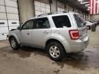 2009 Ford Escape Limited