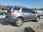 2011 Ford Escape XLS