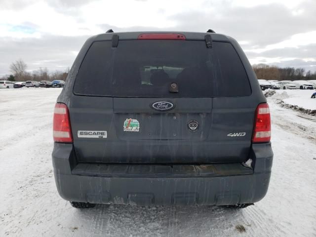 2009 Ford Escape XLT