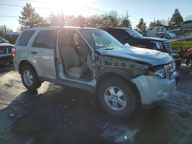 2009 Ford Escape XLT