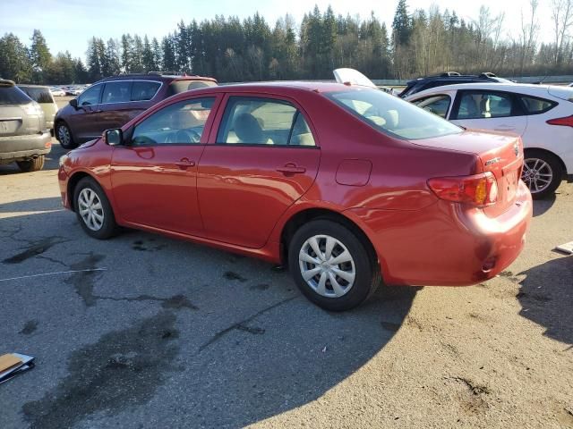 2009 Toyota Corolla Base