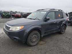 Salvage cars for sale at Eugene, OR auction: 2010 Subaru Forester 2.5X Premium