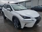 2020 Lexus NX 300