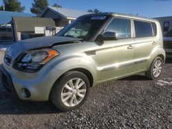 Salvage cars for sale at Prairie Grove, AR auction: 2013 KIA Soul +