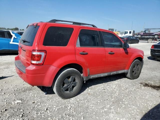 2009 Ford Escape XLT