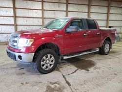 Salvage cars for sale at Columbia Station, OH auction: 2014 Ford F150 Supercrew