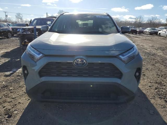 2023 Toyota Rav4 XLE Premium