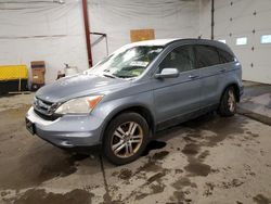 Honda salvage cars for sale: 2010 Honda CR-V EXL