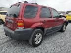 2005 Ford Escape XLT