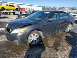 Toyota salvage cars for sale: 2011 Toyota Camry Base