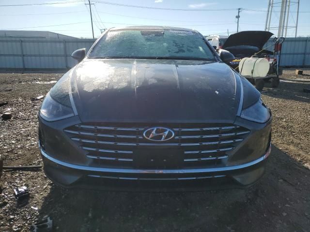 2021 Hyundai Sonata Hybrid