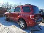 2008 Ford Escape XLT