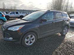 Ford Escape salvage cars for sale: 2014 Ford Escape SE