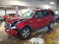 Salvage cars for sale at Indianapolis, IN auction: 2011 Ford Escape XLT