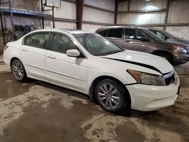 2011 Honda Accord EXL