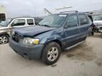 2005 Ford Escape XLT