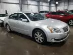 2004 Nissan Maxima SE